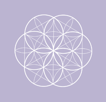 Offre 1 - La Graine de vie